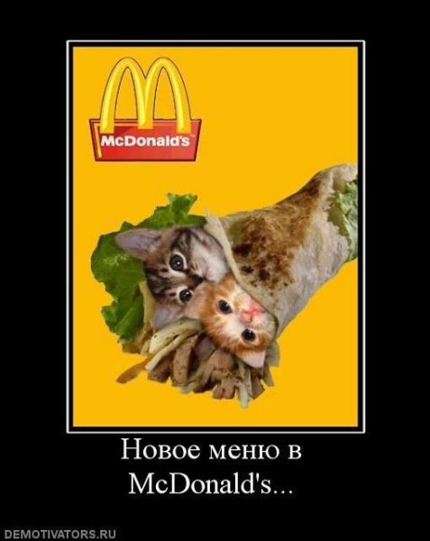 Шутки про Макдоналдс