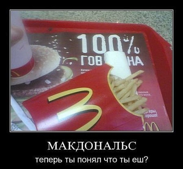 Красный диплом свободная касса