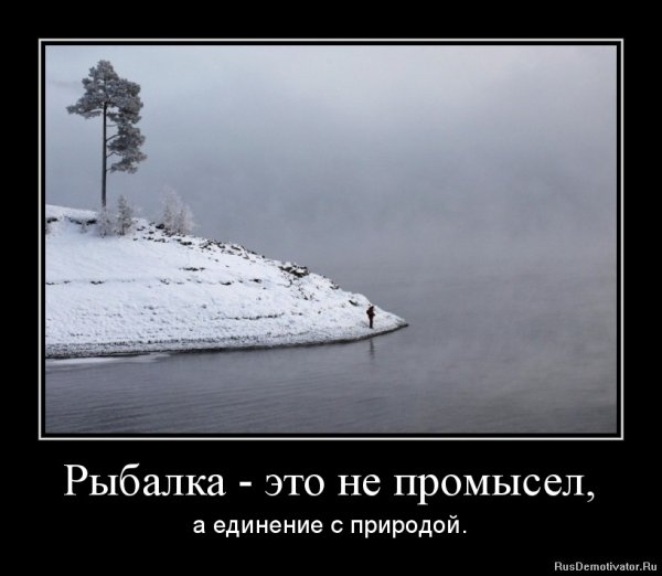 Демотиваторы про рыбалку