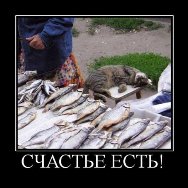 Приколы на рыбалке