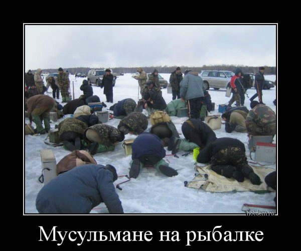 Зимняя рыбалка демотиватор
