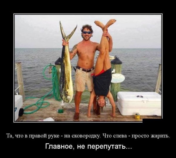 Рыба демотиватор