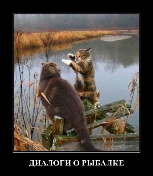 Приколы на рыбалке и охоте