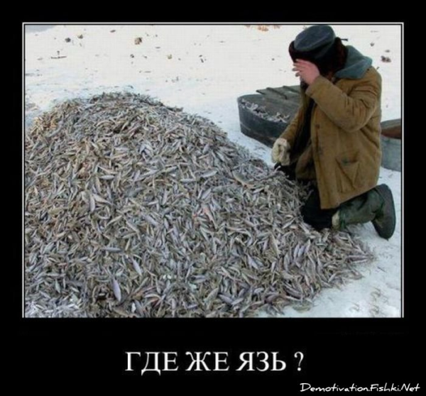 Приколы на рыбалке