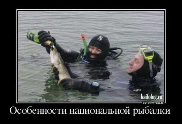 Приколы на рыбалке демотиватор