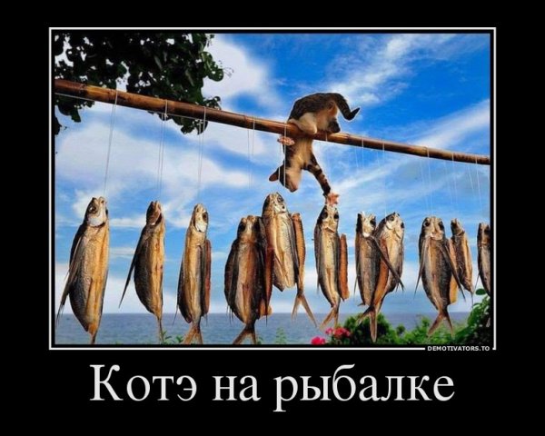 Мотиваторы и демотиваторы смешные