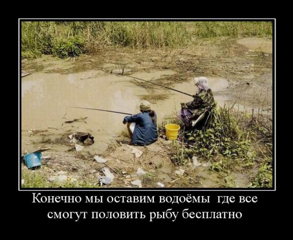 Демотиваторы про рыбалку
