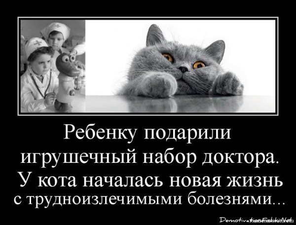 Кот доктор демотиватор