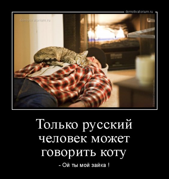 Только русский человек может
