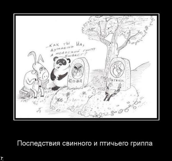 Свиной грипп демотиватор