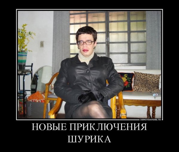 Приключения демотиваторы