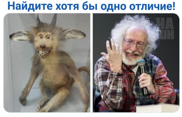 Венедиктов урод