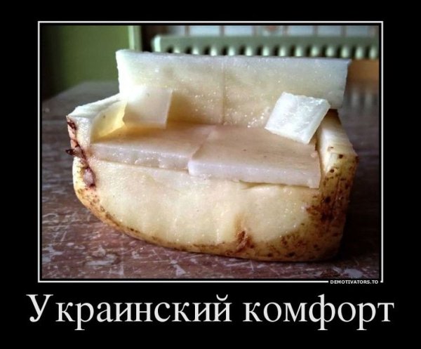 Сало прикол
