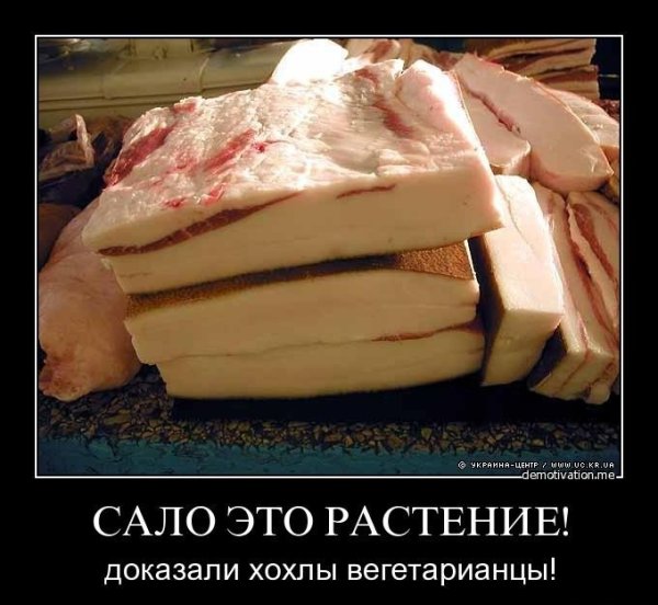 Сало прикол