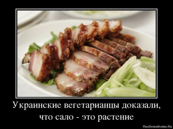 Вегетарианство приколы