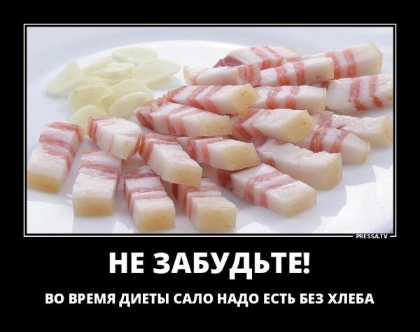 Шутки про сало