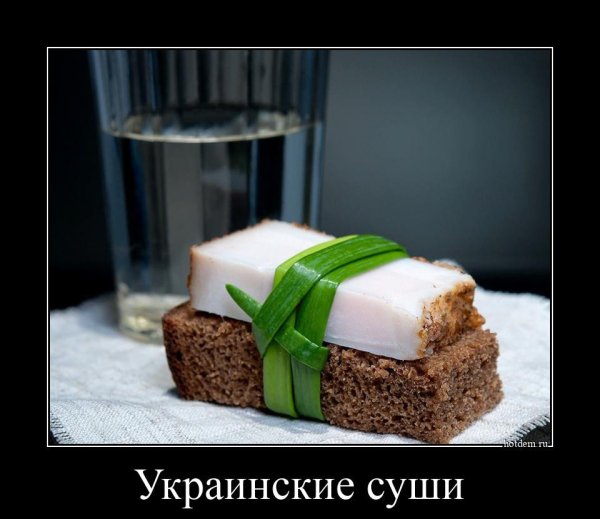 Роллы из сала