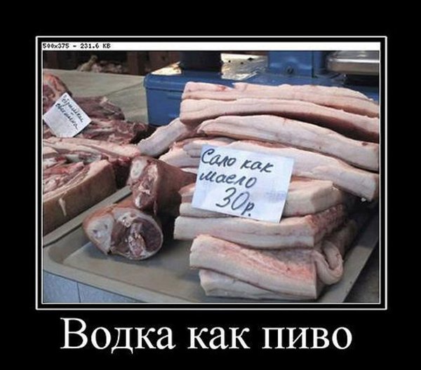 Сало демотиваторы