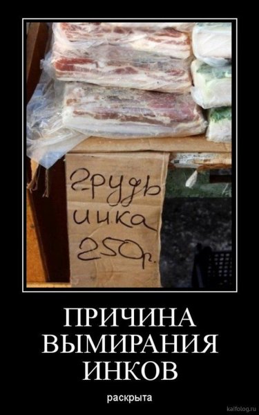 Смешные картинки про сало