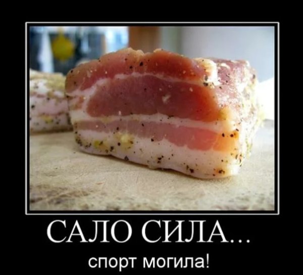 Шутки про сало