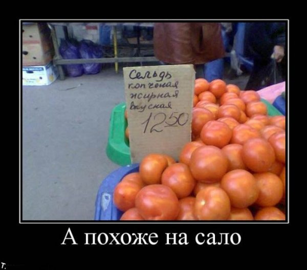 Абрикос демотиватор