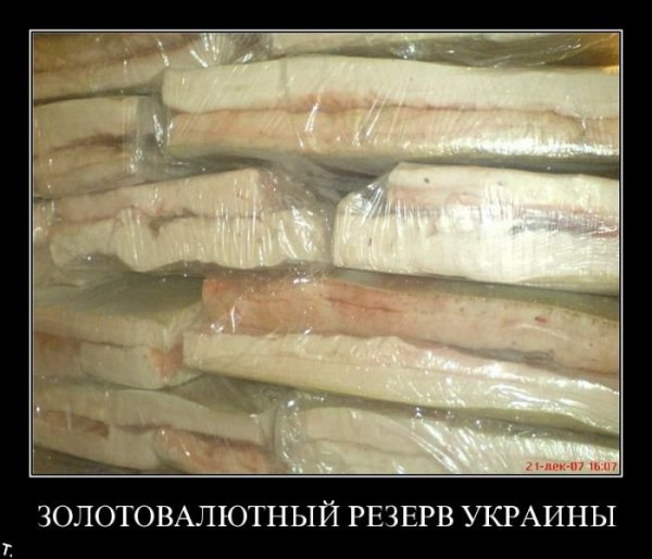 Шутки про сало