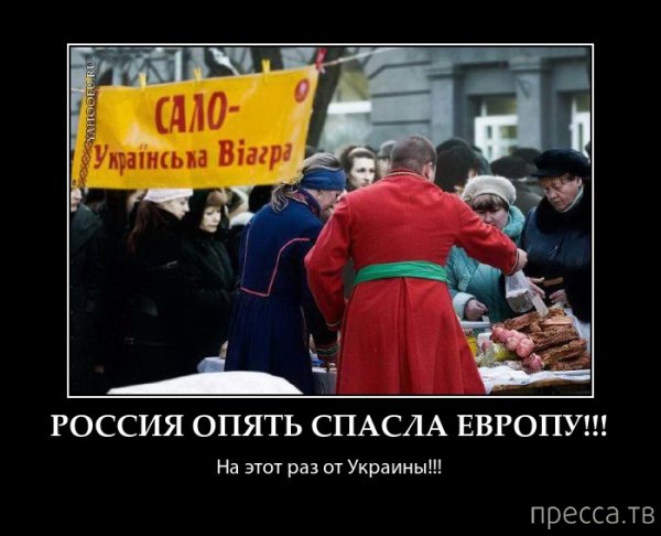 Сало демотиваторы