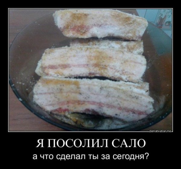 Шутки смешные про сало