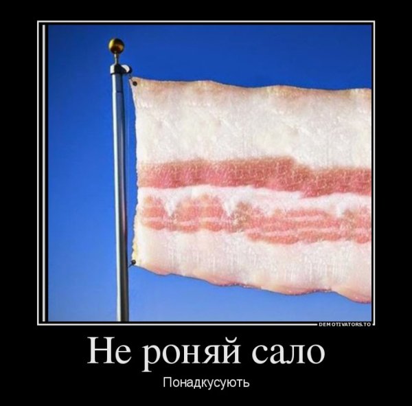 Шутки про сало
