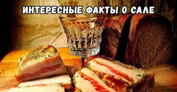 Интересные факты о Сале