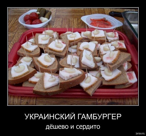 Сало демотиваторы