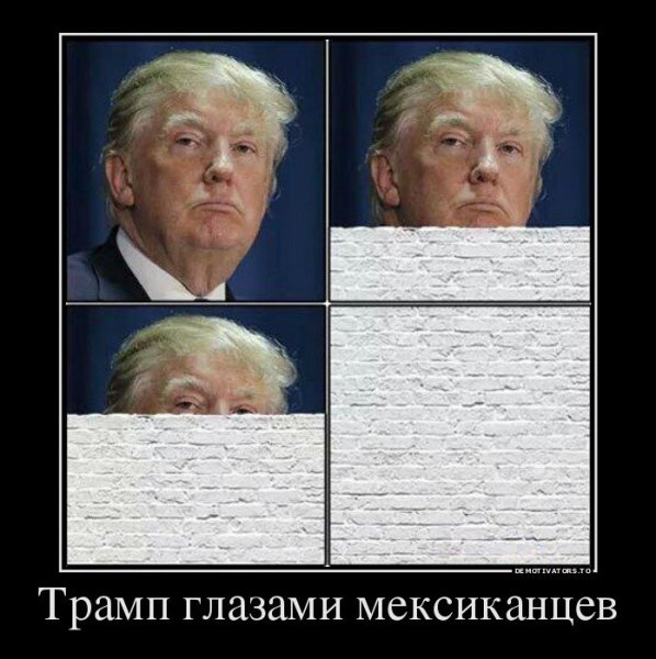 Дональд Трамп демотиваторы