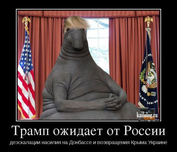 Ждуны демотиваторы