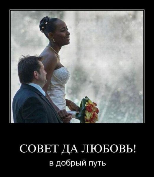 Совет да любовь демотиватор