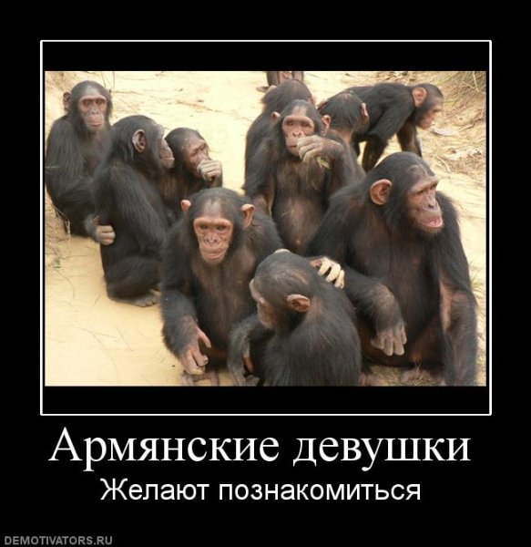 Приколы про армян