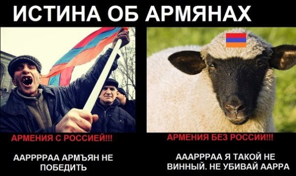 Шутки про армян и грузин