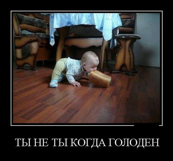 Ты не ты когда голоден фото