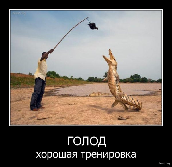 Друг журналист приколы
