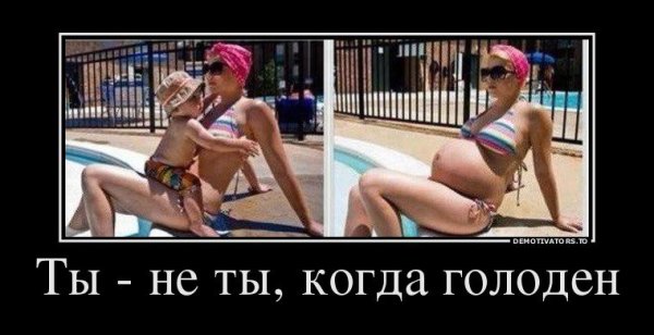 Ты не ты когда голоден картинка