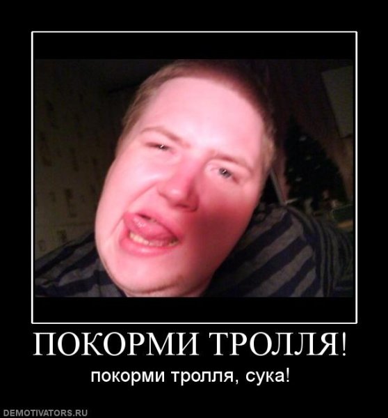 Не кормите тролля