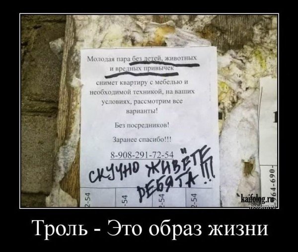Про троллей юмор шутки