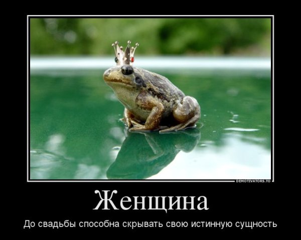 3 Желания лягушка
