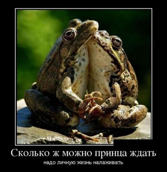 Мотиваторы и демотиваторы смешные