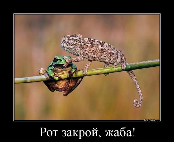 Необычные демотиваторы