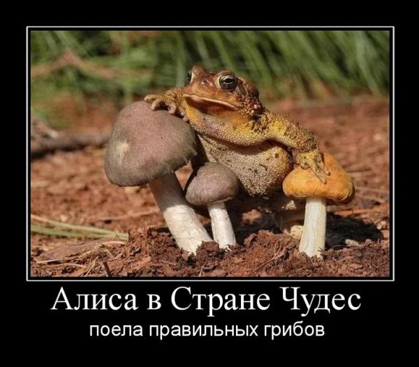 Жаба давит