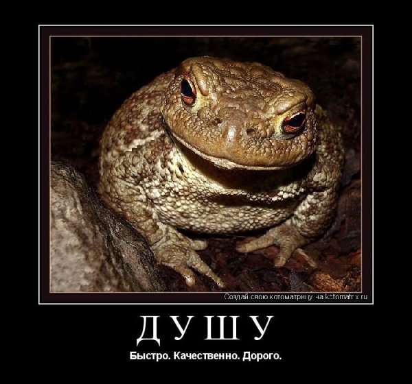 Жаба душит