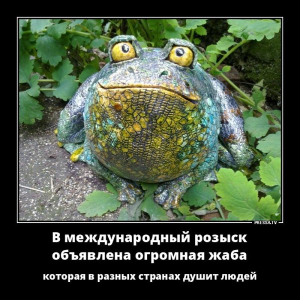 Жаба задушила