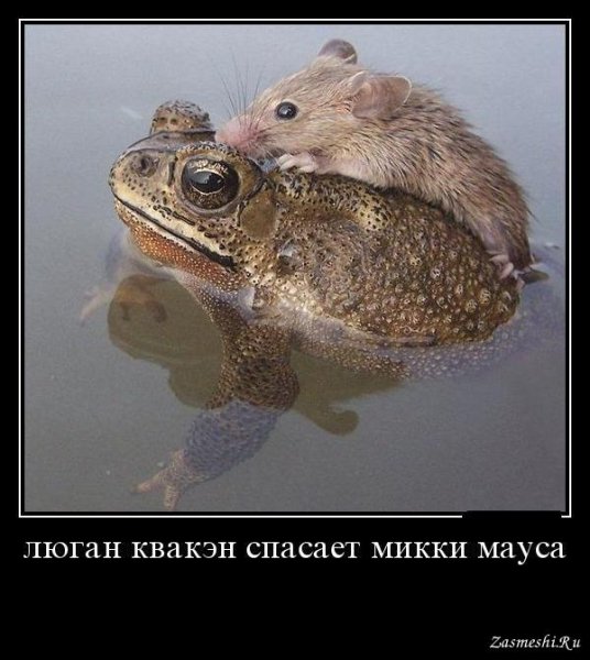 Жаба душит картинки