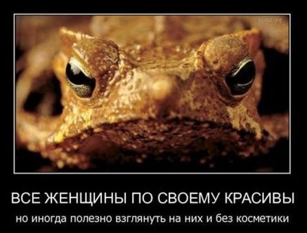 Жаба демотиватор