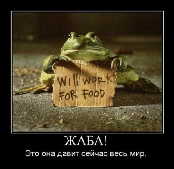 Жаба демотиватор